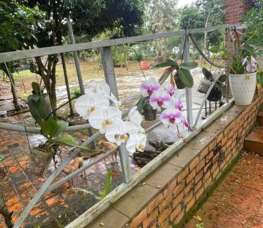 Buon Ma Thuot Villa | family garden