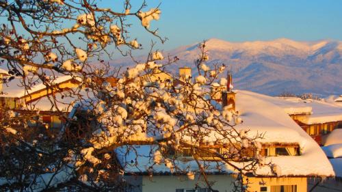 Kvartal Noviya Grad Hotel | Family Hotel Santo Bansko