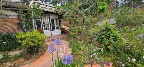 Da Lat House | Family house - stay on pine hill Dalat
