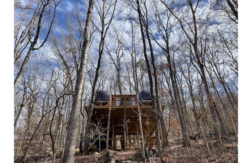 Wildwood Cabin | Family & Pet Friendly Treehouse with Amazing Views