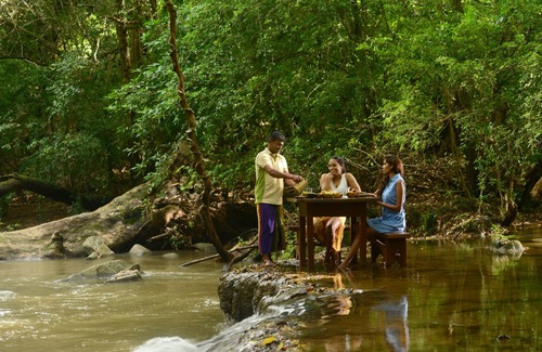 Dambulla Cabin | Family Tree House in the Jungle Close to Sigiriya