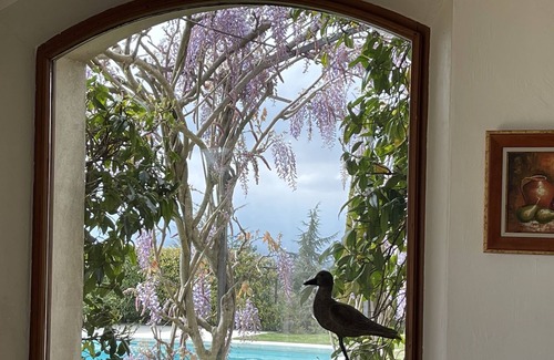 Tanneron Villa | Family Villa , pool and amazing view