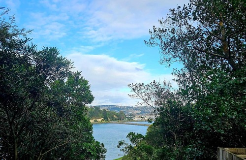 Dunedin Apartment | Fantail Hide on Larnach Rd