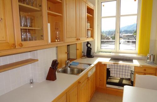 Gmunden Apartment | Fantastic Lake and Mountain View, First Row Lakeside