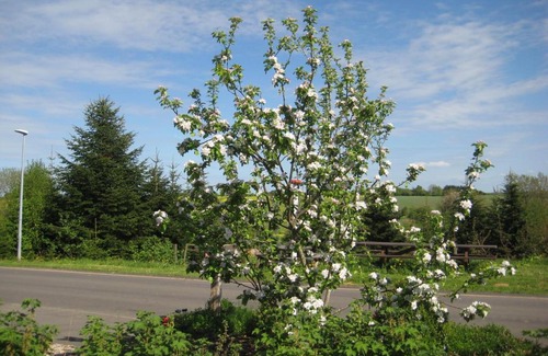 Bredsten Bed & Breakfast | Farmer Annekset Ravning