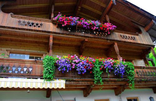 Lauterbach Apartment | Farnreit
