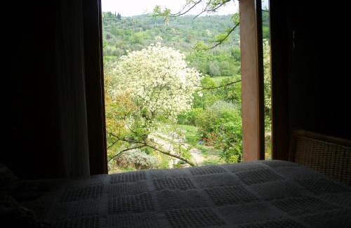 Fiesole Apartment | Fattoria il Leccio Independent Apartment on Florence Hills