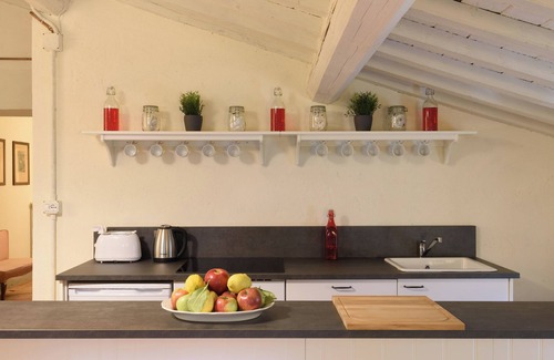 Anghiari Apartment | Fattoria La Speranza Casa Ribes