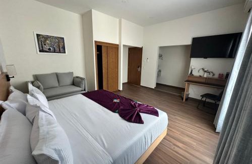 Zona Minerva Hotel | FCH Hotel Minerva-CAS
