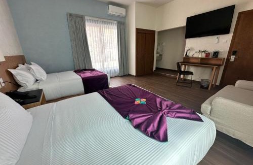 Zona Minerva Hotel | FCH Hotel Minerva-CAS
