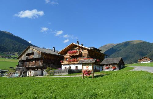 Valle di Casies Apartment | Feldererhof Apt Alpenrose