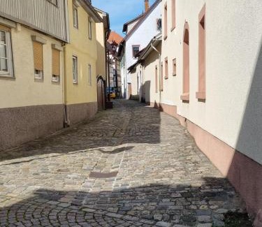 Heppenheim Apartment | Ferienwohnung Heppenheim an der Bergstraße WHG 5