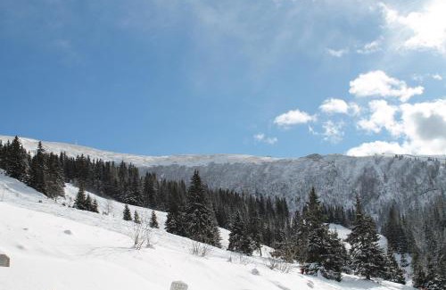 Frantschach-Sankt Gertraud Ski Chalet | Feriendorf Koralpe Chalet Bergglocke