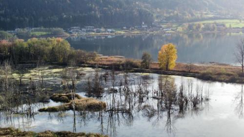 Steindorf am Ossiacher See House | Ferienhaus Natura 2000