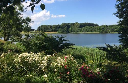 Ponitz am See House | Ferienhaeuser Poenitz am See
