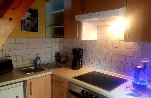 Mulda Apartment | Ferienhaus Alte Post