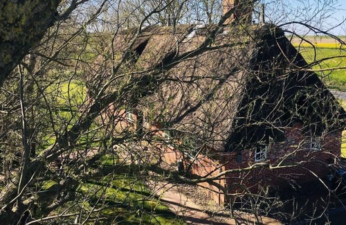 Norderfriedrichskoog House | Ferienhaus für 6 Gäste mit 122m² in Norderfriedrichskoog