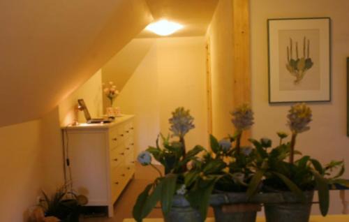 Vollerwiek House | Ferienhaus Deichgraf