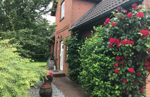Westerdeich Apartment | Ferienhaus Dohle