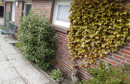 Neuharlingersiel House | Ferienhaus für 3 Gäste mit 71m² in Neuharlingersiel