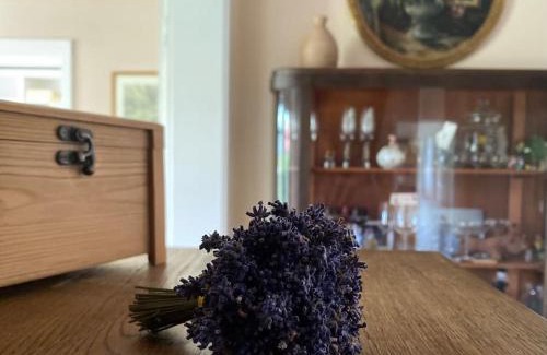 Grossenhain House | Ferienhaus - Ganzes Haus für Euch allein
