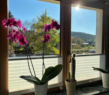 Gemund House | Ferienhaus Ginkgo Biloba
