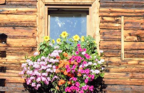 Werfenweng Apartment | Ferienhaus Höchhäusl