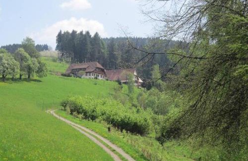 Oberharmersbach Apartment | Ferienhaus Hubhof