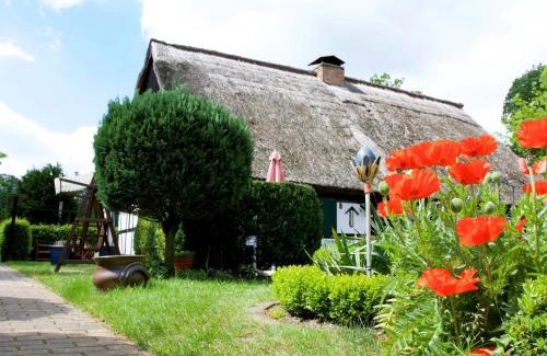 Ahlbeck House | Ferienhaus in Gegensee am Naturpark