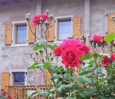 Fiave Apartment | Ferienhaus Irene, Fiave