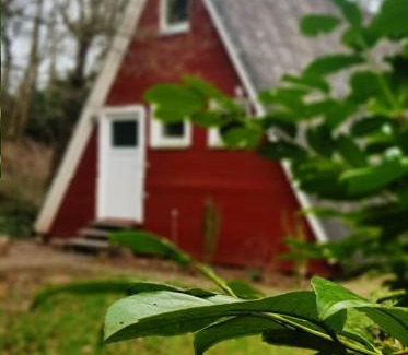 Feriendorf Eichwald House | Ferienhaus Kleine Auszeit