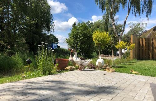 Barlt Apartment | Ferienhaus Malte Büsch