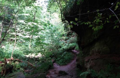 Waldbrunn House | Ferienhaus Robinson Crusoe Schwarzkittelpfad 80