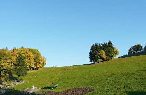 Schwarzenberg/Erzgeb. House | Ferienhaus Uda