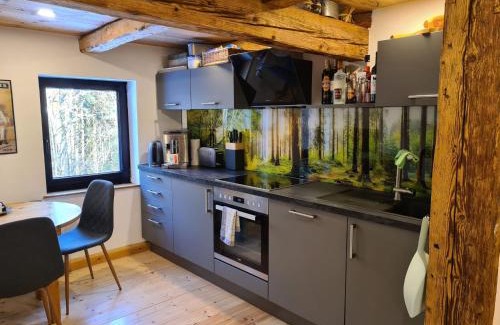 Naila Apartment | Ferienhaus Waldglück