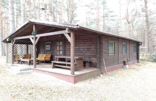 Schwielowsee House | Ferienhaus Waldhütte Ferch