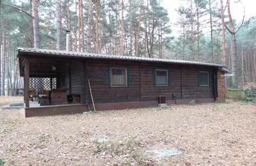 Schwielowsee House | Ferienhaus Waldhütte Ferch