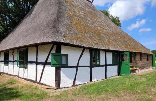 Biendorf House | Ferienhof Schwalbennest OFC 24