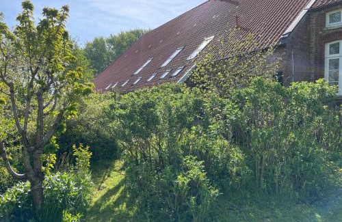 Krummhoern Apartment | Ferienhof Spiegelhaus