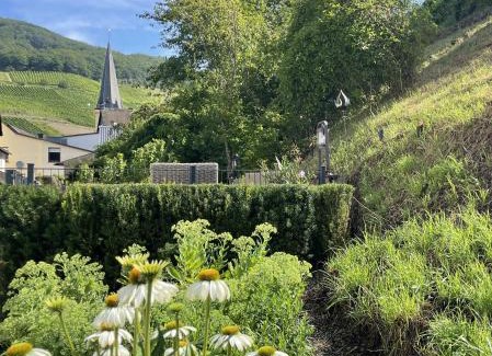 Senheim House | Ferienpension bei Stenze