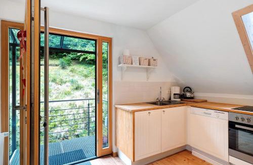 Wolfach - Saint Roman Apartment | Ferienwohnung Im Holzhau