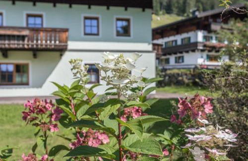 Sankt Martin bei Lofer Apartment | Ferienwohnung Jägermeister