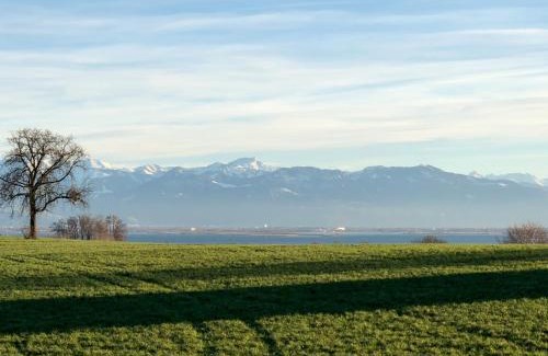 Kressbronn Apartment | Ferienwohnung Seetraum - Hoch über dem See, großzügig mit großem Balkon