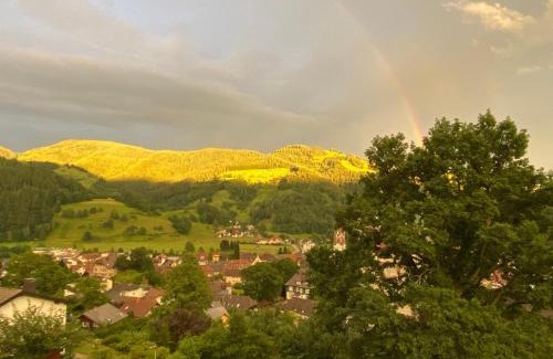 Schoenau im Schwarzwald Apartment | Ferienwohnung Schönblick