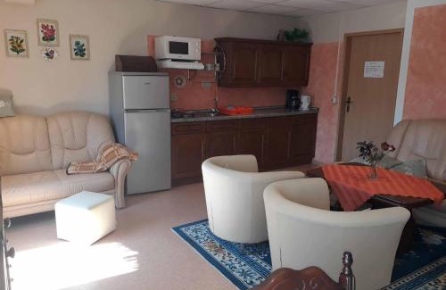 Oberwiesenthal Apartment | Ferienwohnung Suetovius