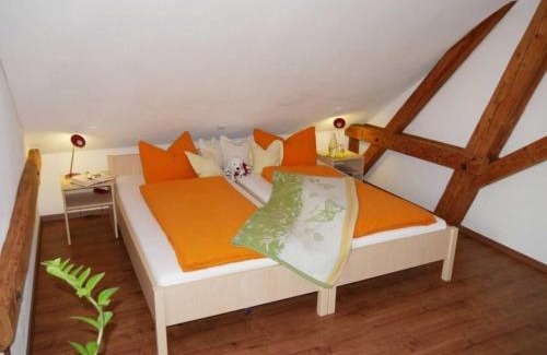 Ochsenhausen Apartment | Ferienwohnung 3
