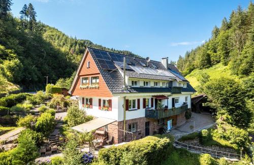 Oppenau Apartment | Ferienwohnung 3