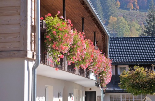 St. Blasien Apartment | Ferienwohnung 6 Feldberg, 44qm, 1 Schlafzimmer, max. 6 Personen (4 Erwachsene)