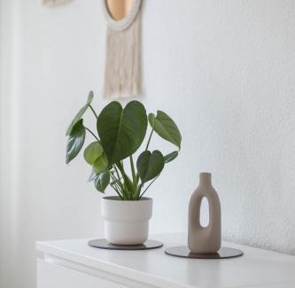 Dessau Apartment | Ferienwohnung Agnes