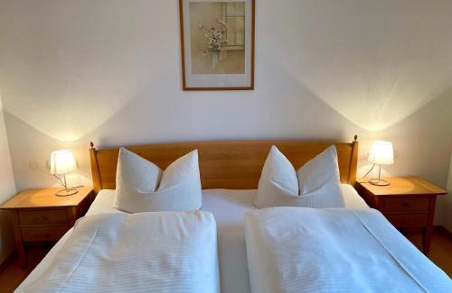 Obermaiselstein Apartment | Ferienwohnung Alpenrose Sommer-Hörnerbahnen kostenlos